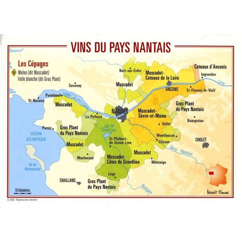 Carte du vignoble nantais et site du domaine Drouard