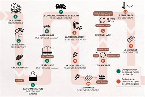 graphique des étapes de fabrication des bugnes