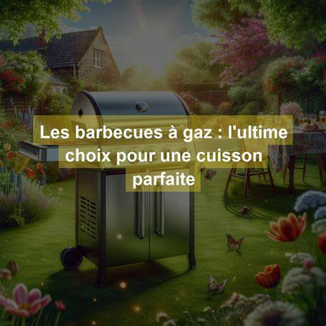 Infographie: choix de barbecues Action et paramètres d’utilisation