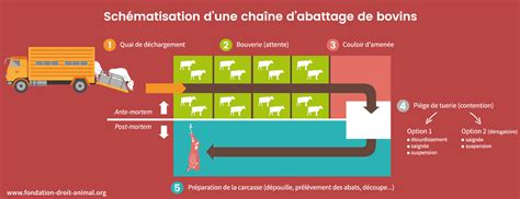 Schéma des étapes de production: élevage local - abattage à Antrenas - découpe et expédition