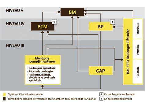 Infographie: parcours pédagogique du CAP au BM et BTM, avec lien entre tomes