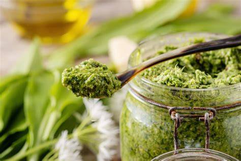 illustration pesto ail des ours déshydraté
