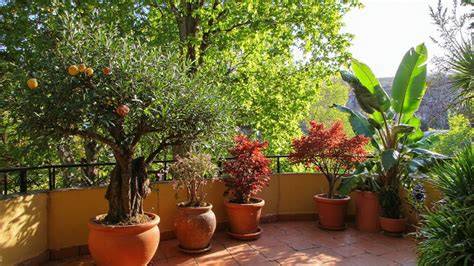 illustration arbres et arbustes rouges en pots