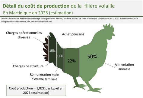 Coût et répartition des prix d’un demi-porc avec découpe