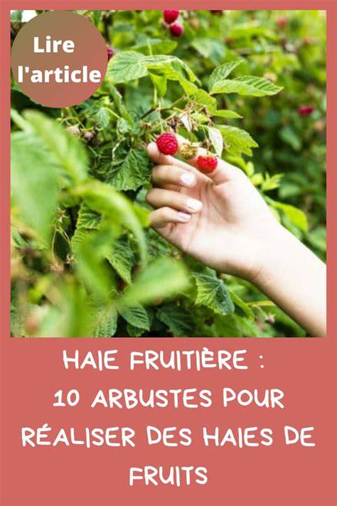 haie-fruits-informative