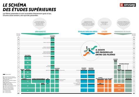 Infographie des parcours et diplômes