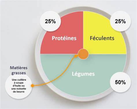 schéma équilibrage quiche légumes et protéines