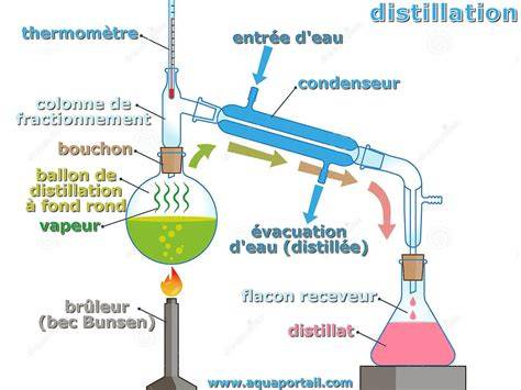 schéma des étapes fermentation distillation