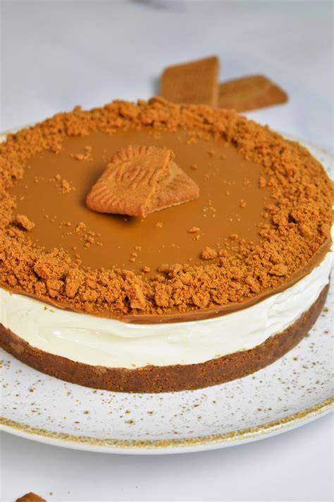 recette cheesecake rapide besion speculoos frais