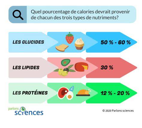 Illustration des macronutriments et des sources de protéines, glucides et lipides pour la prise de masse