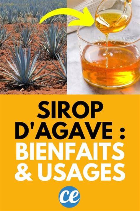 Infographie: comparatif des formats et usages du sirop d’agave