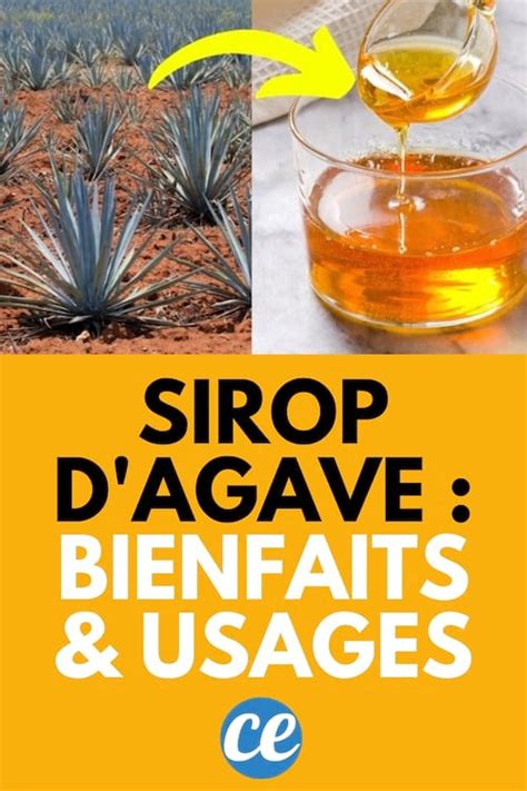 Schéma: effets du sirop d’agave sur la texture des préparations