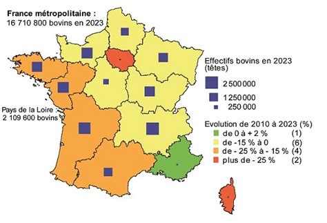 Carte des flux de croisement bovin viande en France