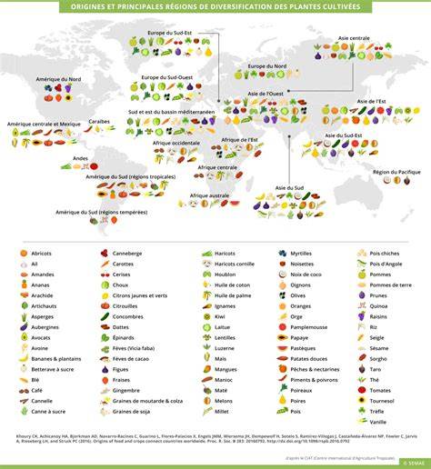carte des origines et centres de diversité