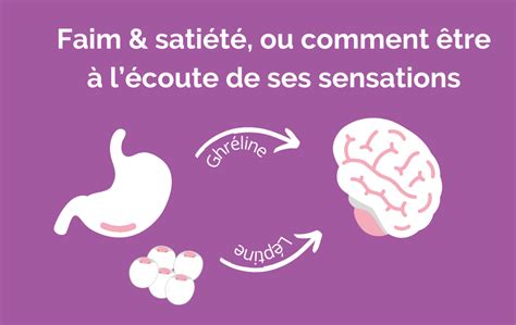 illustration glucomannane et satiété