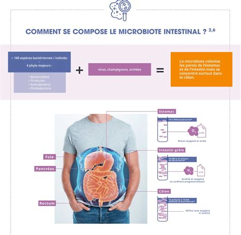 microbiote intestinal et glucomannane