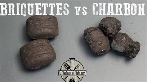 schéma comparatif charbon briquettes