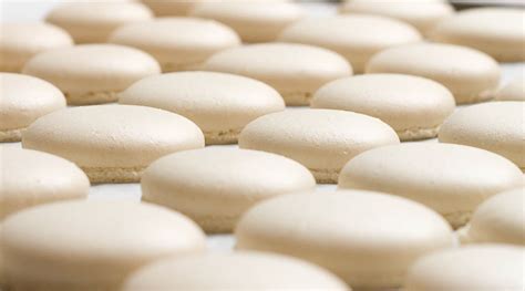 Coques de macarons prête à cuire
