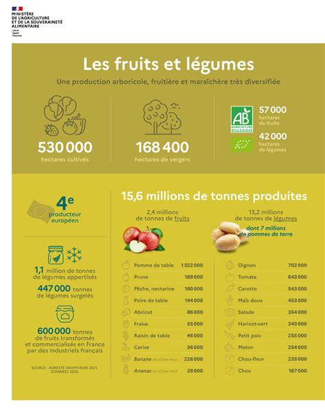 Infographie sur la composition hydrique des fruits et légumes