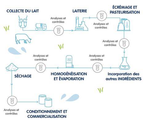 Schéma du procédé de filtration du lait végétal
