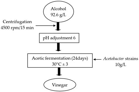 Production de vinaigre par Acetobacter