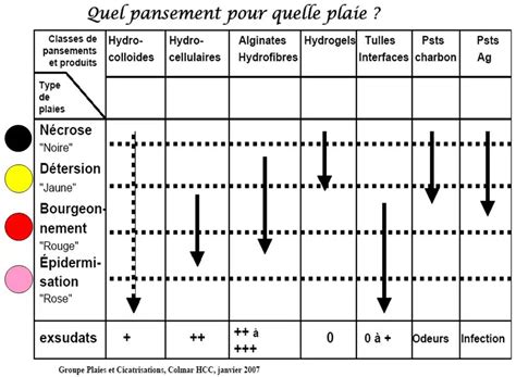 Tableau récapitulatif des types de fermentation