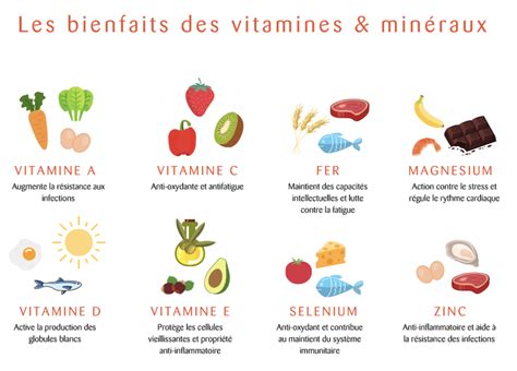 Diagramme montrant les sources de vitamines et minéraux dans les compléments alimentaires bio
