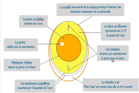 Diagramme expliquant la technique de séparation des œufs et montage en neige pour une texture soufflée