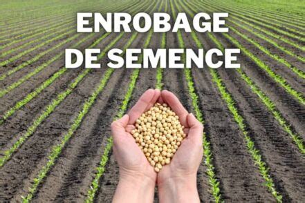 Trois bols pour l'enrobage des aubergines
