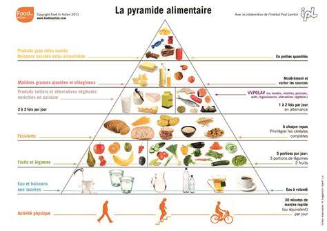 Schéma de la pyramide alimentaire raw food incluant fruits, légumes, graines, germinations