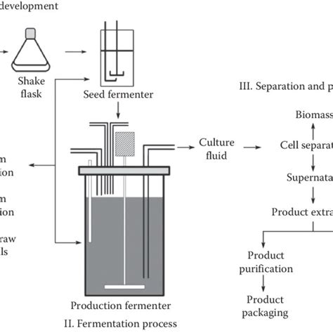 Schematic representation of a fermentation pit