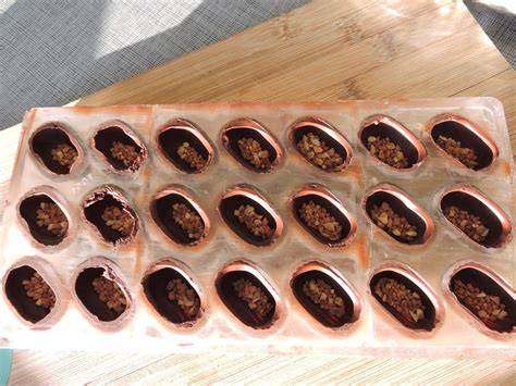moules à chocolats brillants tempérés au Thermomix