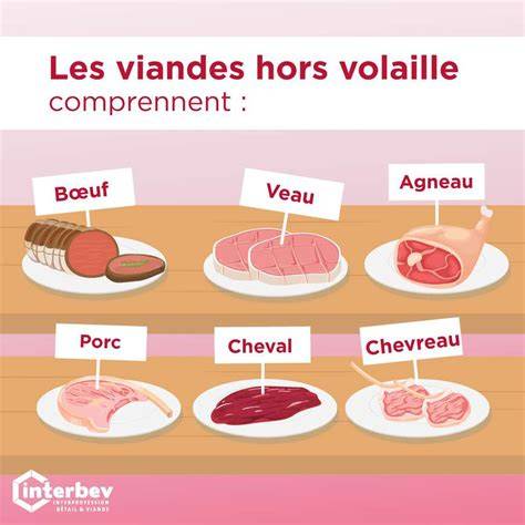 Schéma: progression d’assaisonnement des viandes rouges avec les Mélanges Malins Ducros