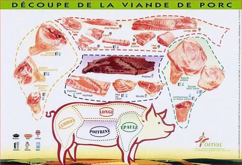 Infographie: Diversité des morceaux de porc et leurs utilisations culinaires