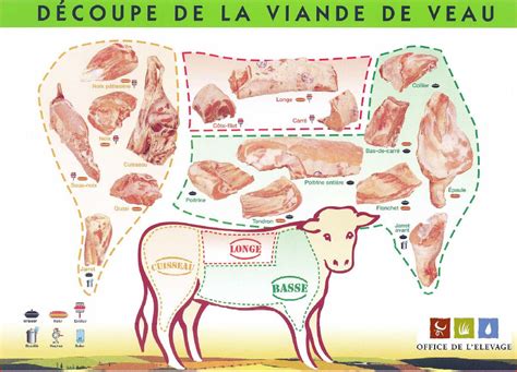 Illustration: découpe du veau et outils spécialisés