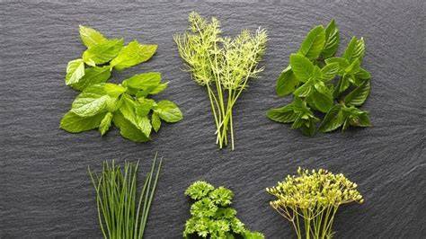 Parures et herbes fraîches pour le jus
