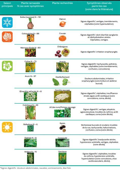 Tableau des plantes comestibles fréquentes et usages culinaires
