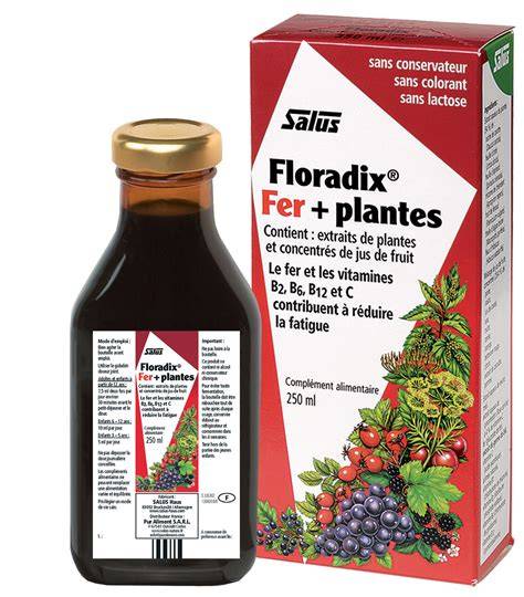 Infographie: Schéma des actifs de Floradix Fer + Plantes et leur rôle