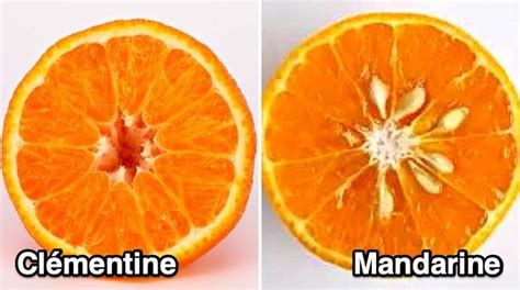 Une clémentine coupée en deux avec des zestes