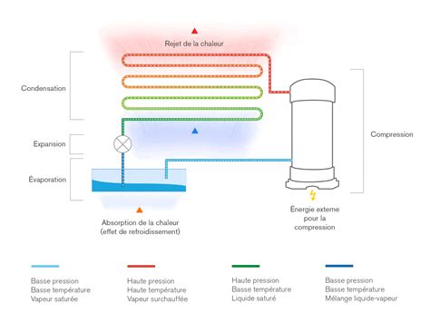 Diagramme montrant l'emplacement potentiel des circuits frigorifiques dans un réfrigérateur