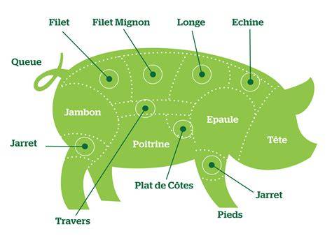 Schéma évolution du poids moyen de carcasse de porc en Europe