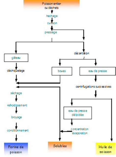 Processus de fabrication de la farine de poisson