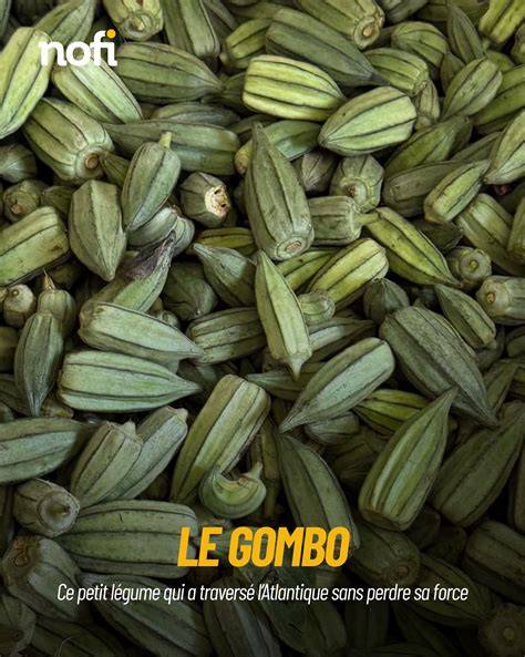 Illustration du gombo et de la texture filante