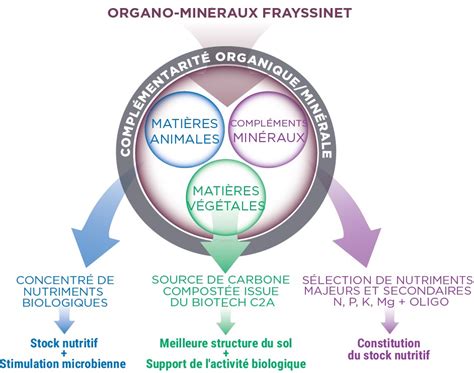 Illustration montrant la structure des compléments minéraux et l’importance des oligo-éléments chez les ovins