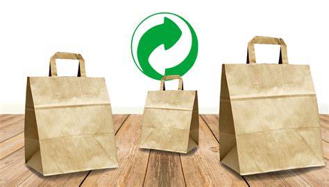 Exemples d'emballages biodégradables (bagasse, bambou, carton)