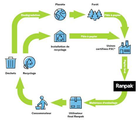 Schéma : cycle de vie d'un emballage biodégradable vs plastique