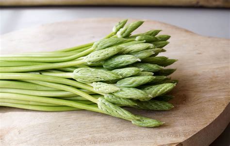 aspergette_asperge_des_bois
