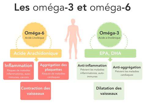 Infographie: équilibre entre oméga-6 et oméga-3