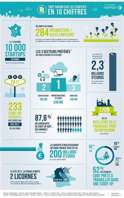 Infographie des services et options