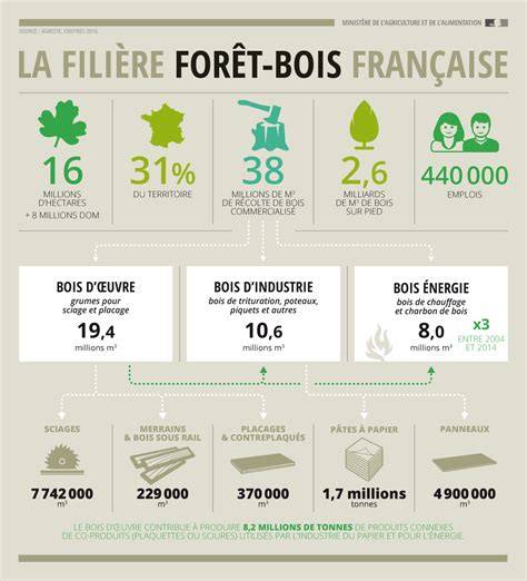 Infographie: filière pintade française et confiance consommateur